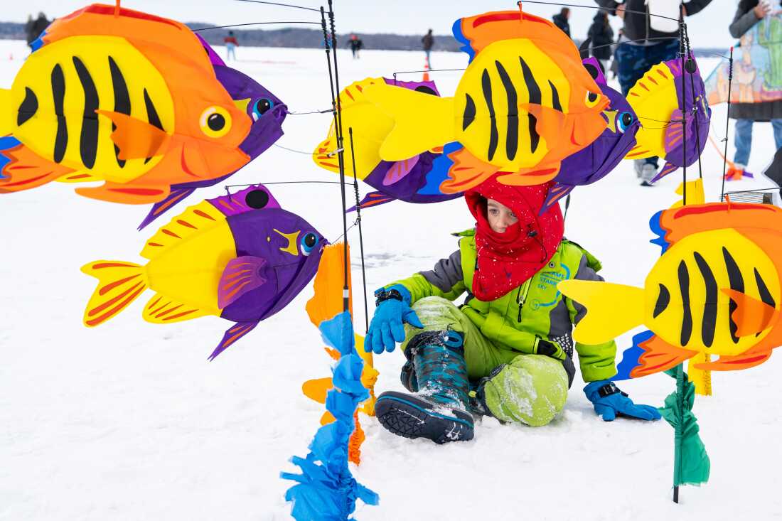 A child plays in a sea of fish kites at the Frozen Assets Festival on Lake Mendota on Saturday, Feb. 7, 2026, in Madison, Wisconsin. Photo by Kayla Wolf
