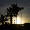 Silhouettes of power lines and palm trees in Spain amidst a power outage