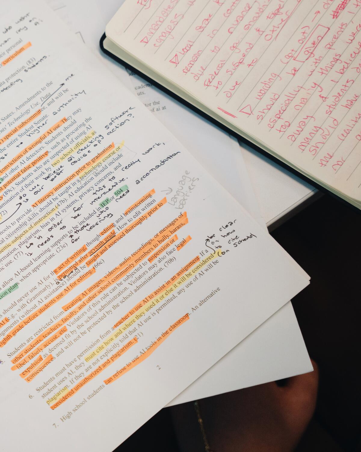 Sophia Fenn of Washington state took the work seriously, going line by line through the proposals and making detailed notes about what she would like to amend or strike altogether.