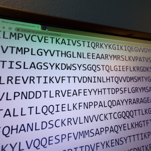 Close-up of letters displaying a portion of the genetic sequence of the novel Coronavirus which infected people beginning in Wuhan, China in 2020, on a computer screen, San Ramon, California, January 29, 2020. The release of the genetic sequence of the virus is a key step towards developing vaccines and other treatments.