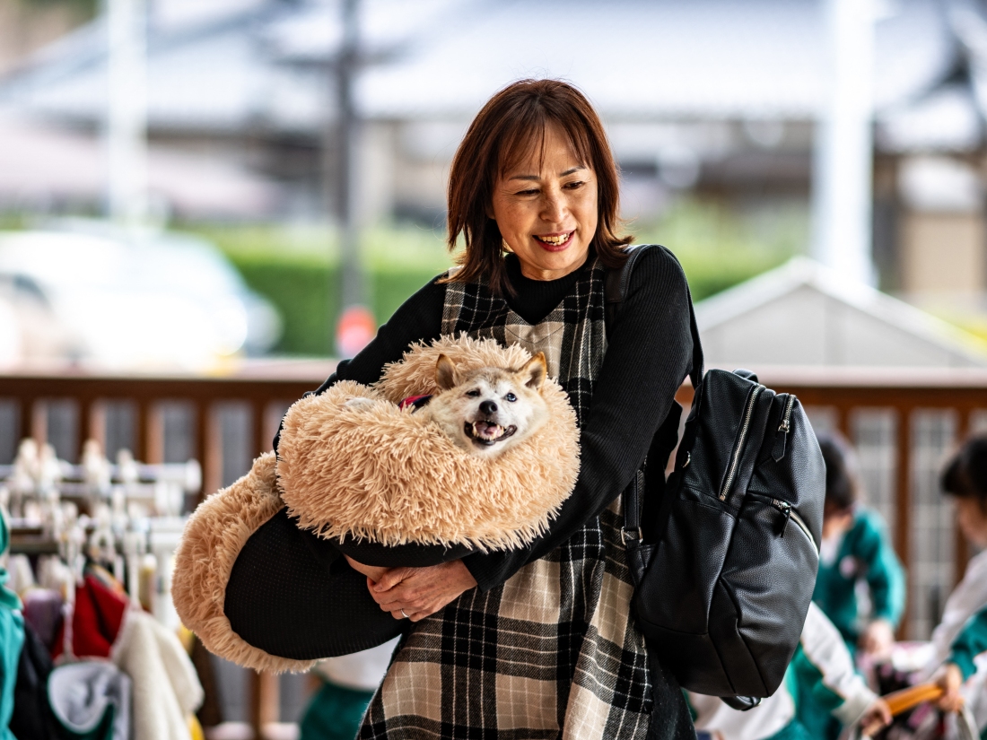 ‘The Shiba Inu behind Dogecoin and memes passes away’ ‘The Shiba Inu behind Dogecoin and memes passes away’