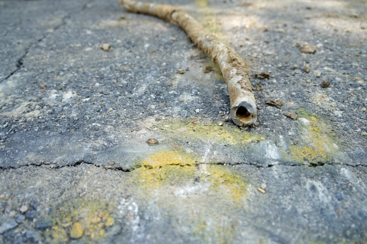 A lead water service line from 1927 lays on the ground on a residential street after being removed on June 17, 2021, in Denver.