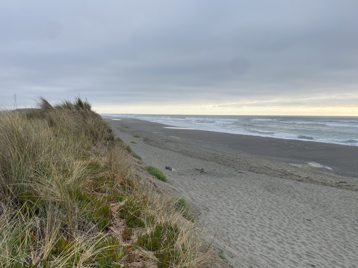 Off the coast off of Eureka, Calif. there's a plan to build offshore wind turbines to power more than two million American homes. China accounts for 74% of all large scale solar and wind under construction, according to the nonprofit Global Energy Monitor. The U.S. accounts for 5.9%.