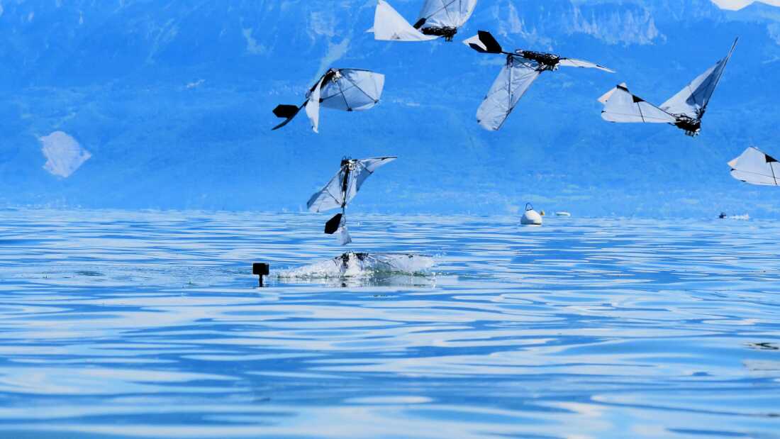 A photo-illustration shows the flight arc of the robot, as it leaves the water and soars into the air.