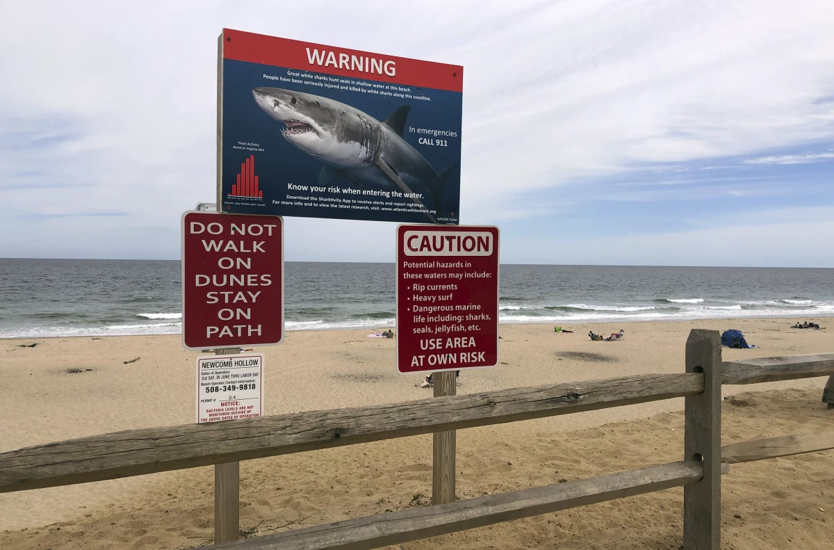 In this Sept. 5, 2019 photo, a shark warning sign is seen at Newcomb Hollow Beach in Wellfleet, Mass.