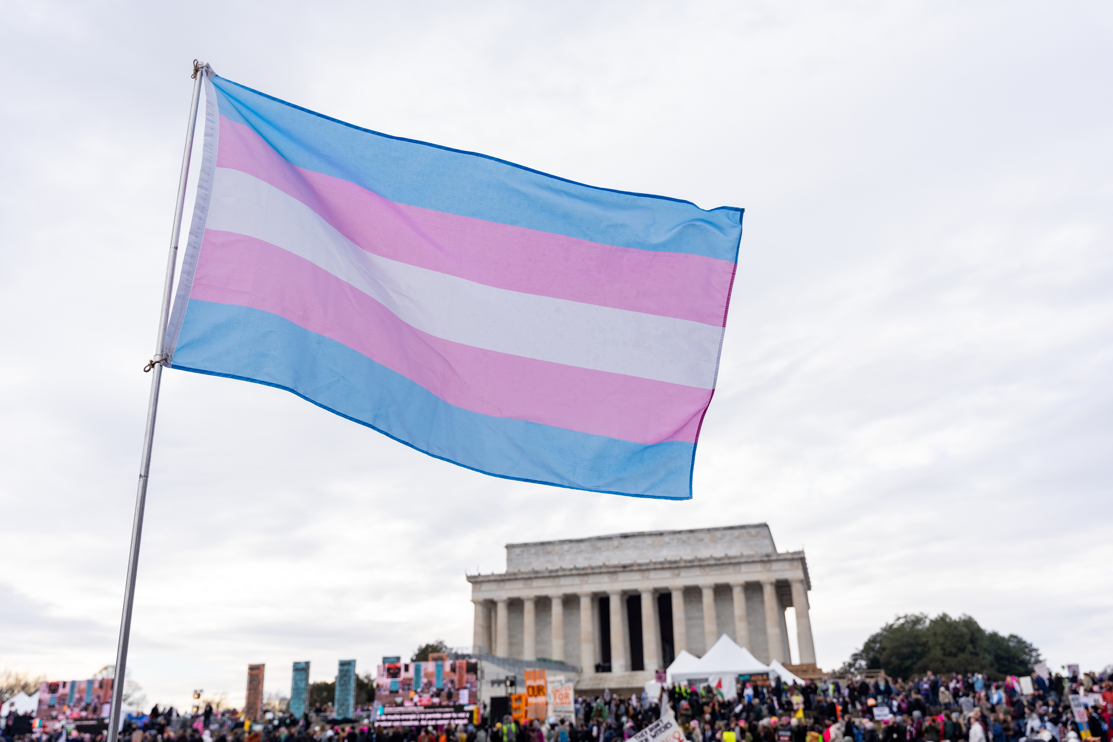 A person waves a transgender pride flag during the People
