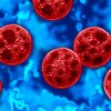 Cyclosporiasis is a foodborne illness caused by contaminated food or water carrying the Cyclospora parasite. FDA officials have yet to figure out the source of the outbreak that the CDC says has sicked more than 1,600 people this summer.