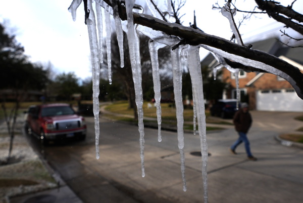 Cold temperatures and a lawn sprinkler create icicle on a tree in Richardson, Texas, on Jan. 8.