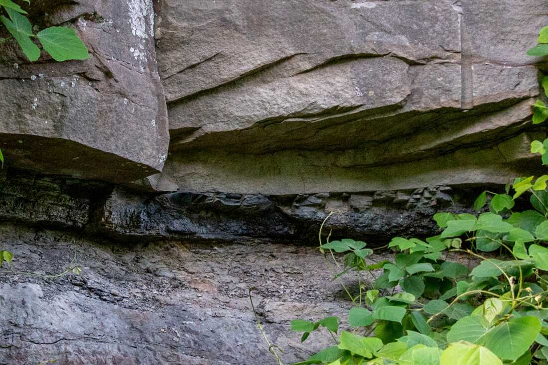 A thin coal seam no more than a foot thick outside an abandoned underground coal mine near Haysi, Virginia. Now that mining companies are going after thin seams like this, miners are exposed to more rock dust when mining machines cut through the rock.