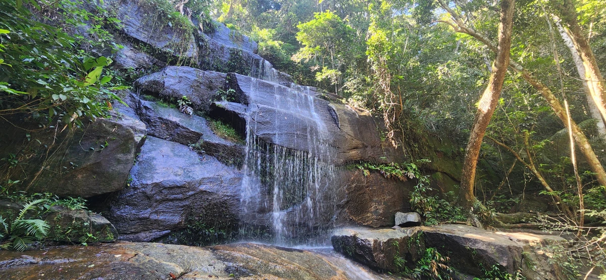Tijuca National Forest spreads over roughly fifteen square miles in Rio de Janeiro. It's the world's largest urban rain forest. Hiking trails, waterfalls and dense forests offer a respite from the city's bustle and sprawl.