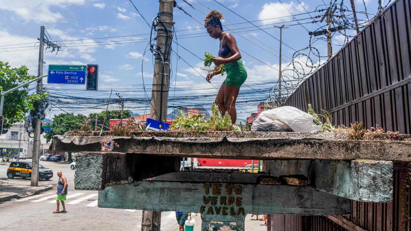 Fevala Rooftop Brazilian favelas cool down with a green roof to offset the heat ...