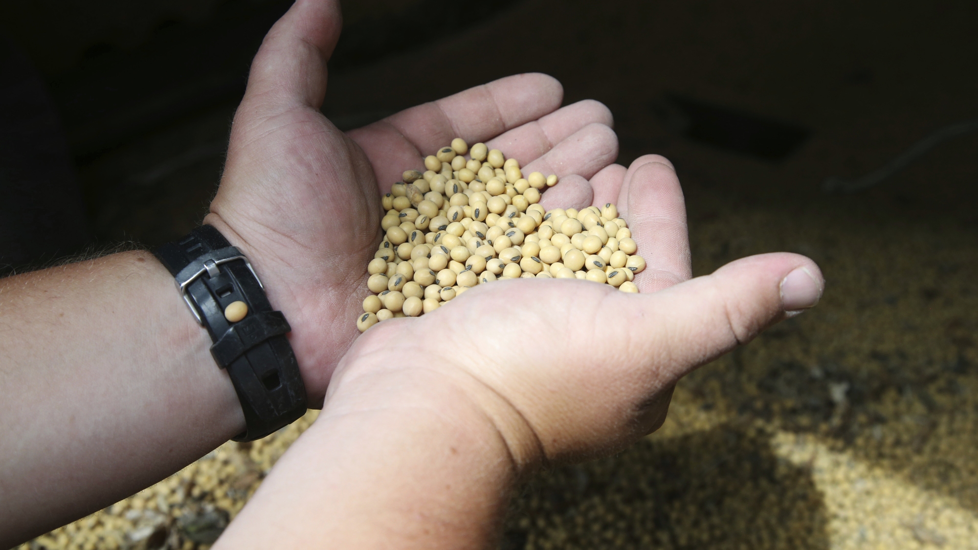Tariffs threaten to upend markets American farmers depend on
