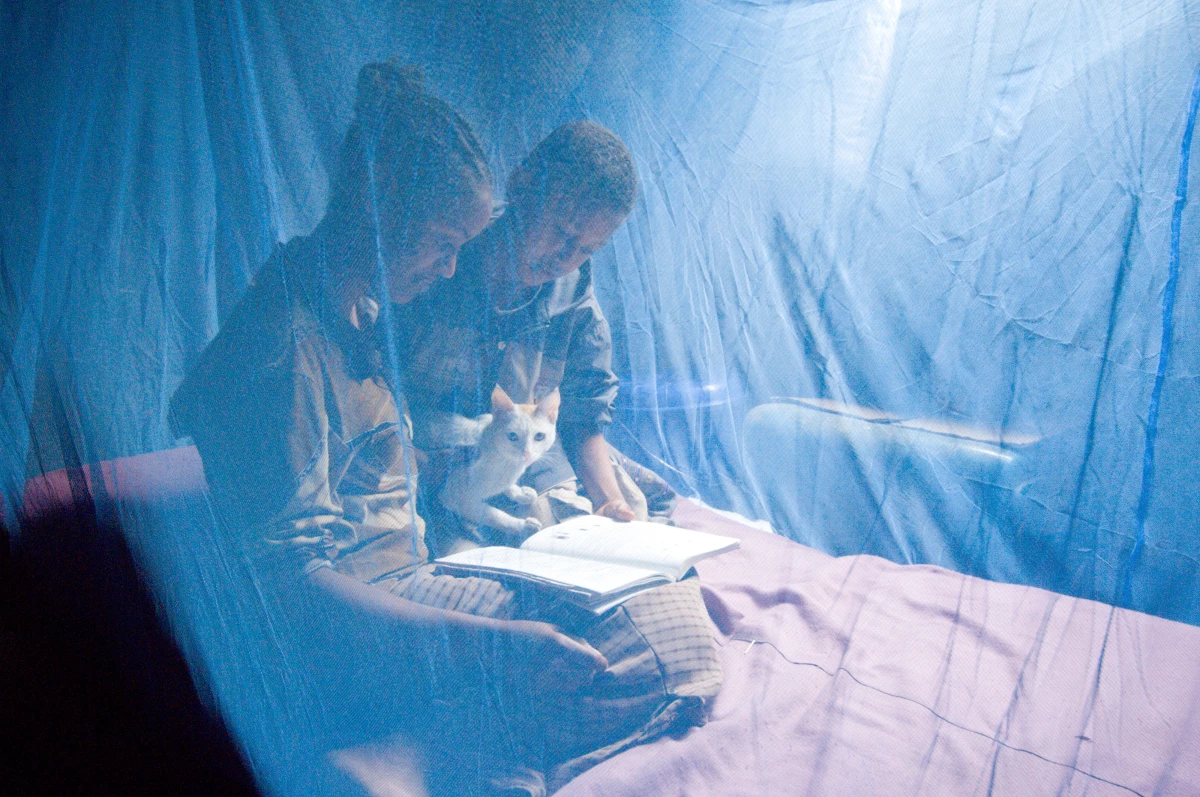 In modern times, malaria is thought of as a tropical disease but evidence from ancient bones reveals a different narrative. Above: In Ambowuha, Ethiopia, Birtukan Demissie and her siblings are protected from mosquitoes that carry the disease with a bed net. Joining them is the family cat.