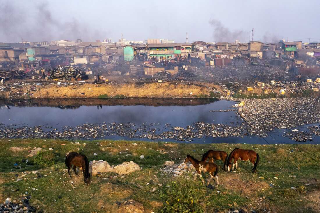 Demolished Agbogbloshie Scrapyard site, Accra, Ghana, February 8, 2023. An aerial photo shows horses foraging on a section of the now-demolished Agbogbloshie Scrapyard site — across from Old Fadama. Old Fadama and the now demolished Agbogbloshie Scrapyard site were separated by the Korle Lagoon.