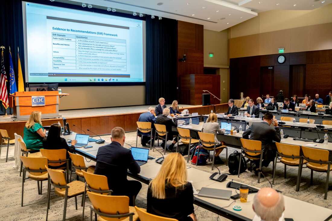 A June meeting of vaccine advisers to the Centers for Disease Control and Prevention.