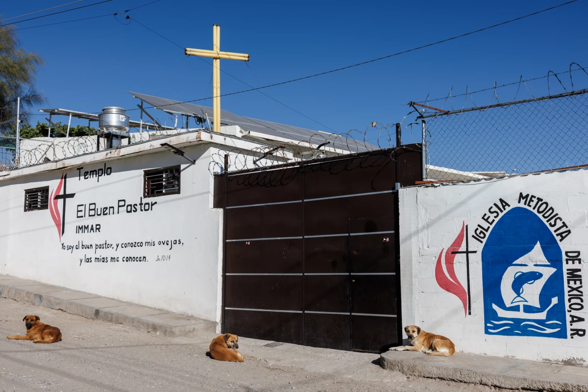Stray dogs take in the sun outside of El Buen Samaritano migrant shelter in Ciudad Juárez, Chihuahua state, Mexico on Sunday, December 8, 2024.