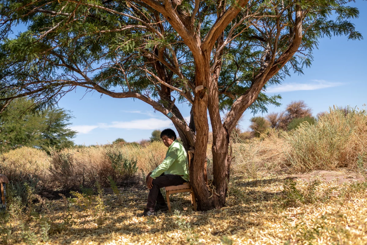 Tomás Vilca Kunza researcher and teacher, sits by a tree in the village of Tulor, near San Pedro de Atacama in Antofagasta, Chile.