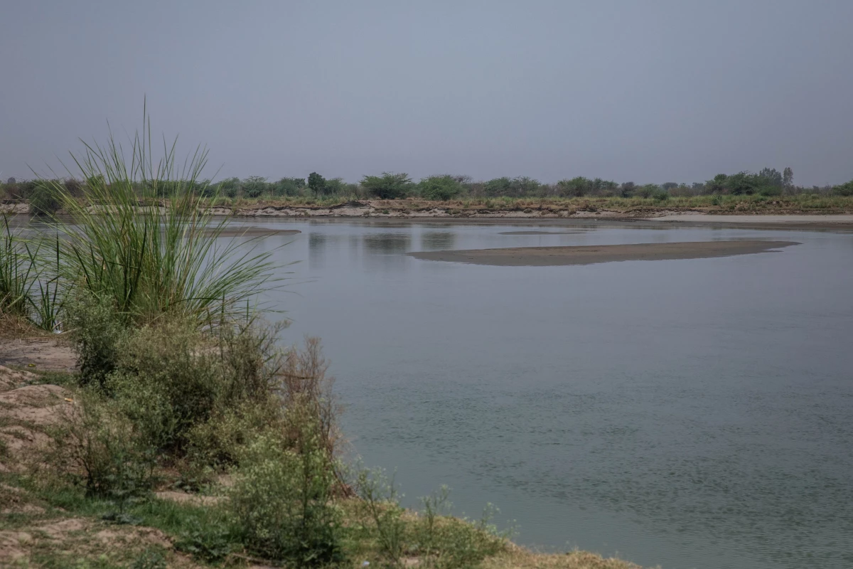 The Jhelum, one of the three rivers allocated to Pakistan under the Indus Waters Treaty, is seen from the riverbank in early June, Punjab province, Pakistan.