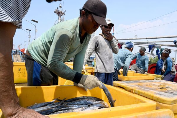 Indonesian fishermen unload their catch at the port in Jakarta on May 5, 2019.