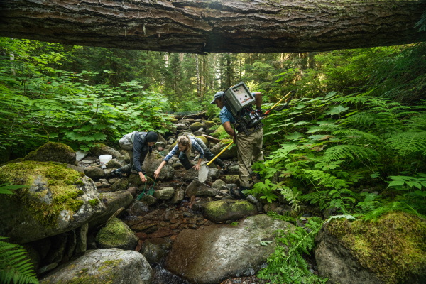 Biologists from Oregon State University survey for trout and amphibians at HJ Andrews Experimental Forest. Tucked in the Cascade Mountain Range in Western Oregon, this long term ecological research site is one of the most studied old-growth ecosystems on the planet and has laid the foundation for how we understand forests world-wide.