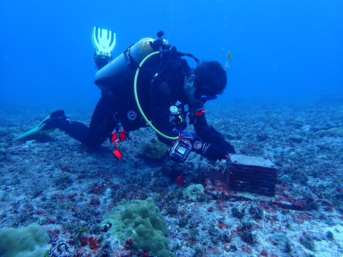 A researcher retrieves an ARMS device.