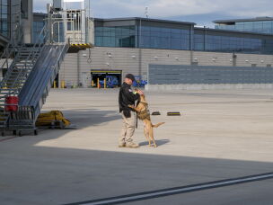 Scott Barnhart trains his dog, Si, an explosive detection canine, at Kansas City International Airport on June 3.