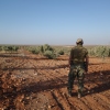Kamuflaj desenli pantolon giyen üst düzey bir Uygur militan, sırtı kameraya dönük, kuzey Suriye'deki bir zeytinliğe dönük duruyor.