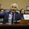WASHINGTON, DC - JUNE 03: Dr. Anthony Fauci, former Director of the National Institute of Allergy and Infectious Diseases, testifies before the House Oversight and Accountability Committee Select Subcommittee on the Coronavirus Pandemic at the Rayburn House Office Building on June 03, 2024 in Washington, DC. The Subcommittee is holding a hearing on the findings from a fifteen month Republican-led probe of former Director of the National Institute of Allergy and Infectious Diseases Dr. Anthony Fauci and the COVID-19 pandemic's origins. (Photo by Chip Somodevilla/Getty Images)