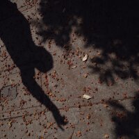 A man recounts the incident in Montebello, California, where ICE agents entered a junkyard and detained U.S. citizen Javier Ramirez. June 19, 2025. Zaydee Sanchez for NPR