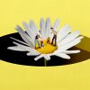 Illustration of two toddlers having temper tantrums in public as their parents try to calm the meltdowns. They all rest on the center of an oversized daisy, which grows out of a giant hole in the otherwise sunny yellow ground. Parenting in the thick of your child's outburst can be difficult. Psychologist Celina Benavides explains what to do in the moment — and how to get ahead of bad behavior