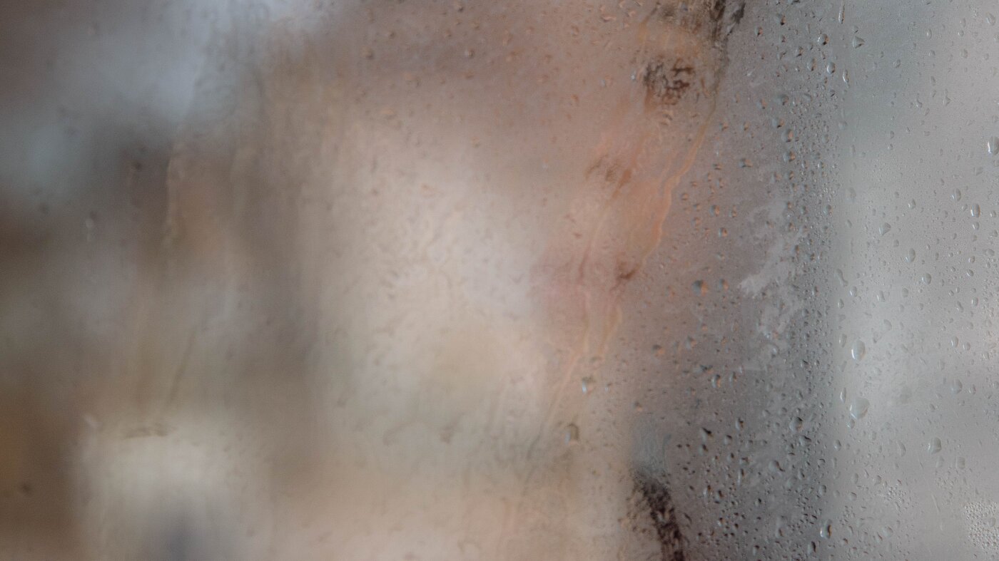 ICE apunta a refugiados a pesar de su estatus legal: NPR