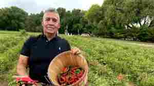 Fidel Martinez raises a quarter-acre of chile at his ancestral home in Chimayo, but he only gives it away to family and friends.