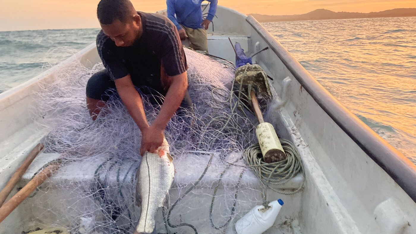 Amerikaanse bootaanvallen laten Colombiaanse vissers in angst achter en slagen er niet in de cocaïnestroom te beteugelen: NPR