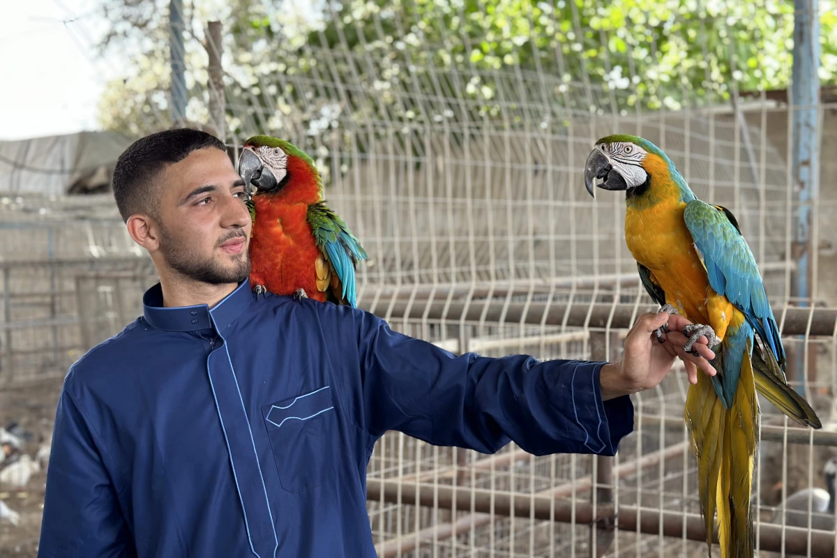 Ahmad Jumaa, Fathi Jumaa's son, holds parrots from their zoo in Rafah.