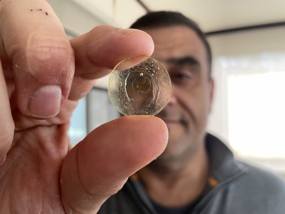 Paleontologist Dany Azar holds up one of his treasures that he discovered in Lebanon in a piece of amber from the early Cretaceous: The oldest mosquito ever found. (For NPR)
