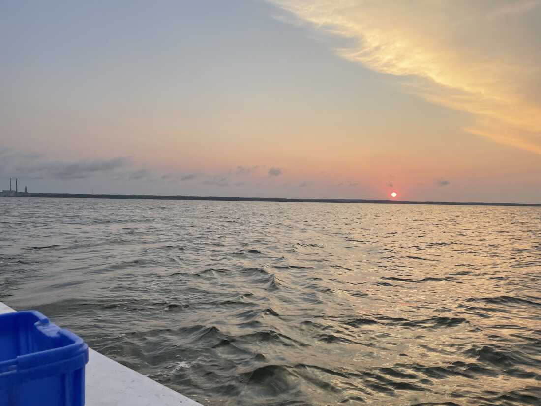 The Rices are out on the water before sunrise three days a week.