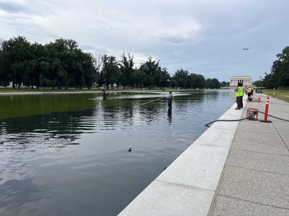 Workers battle the fast-growing, common algae in the Lincoln Memorial Reflecting Pool on Thursday.