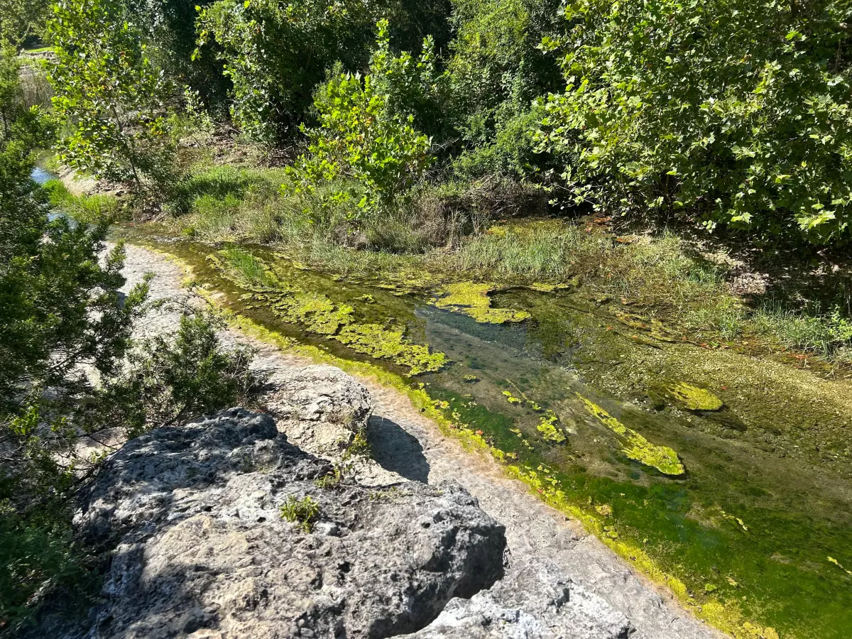 A creek flows out from Jacob's Well, which recently benefitted from heavy rainfall.