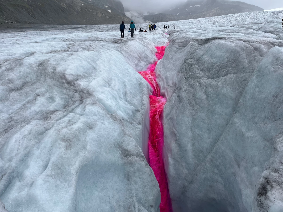 A team of scientists from ETH Zurich releases pink dye in the Rhône Glacier's meltwater to record how quickly it is flowing off the glacier.