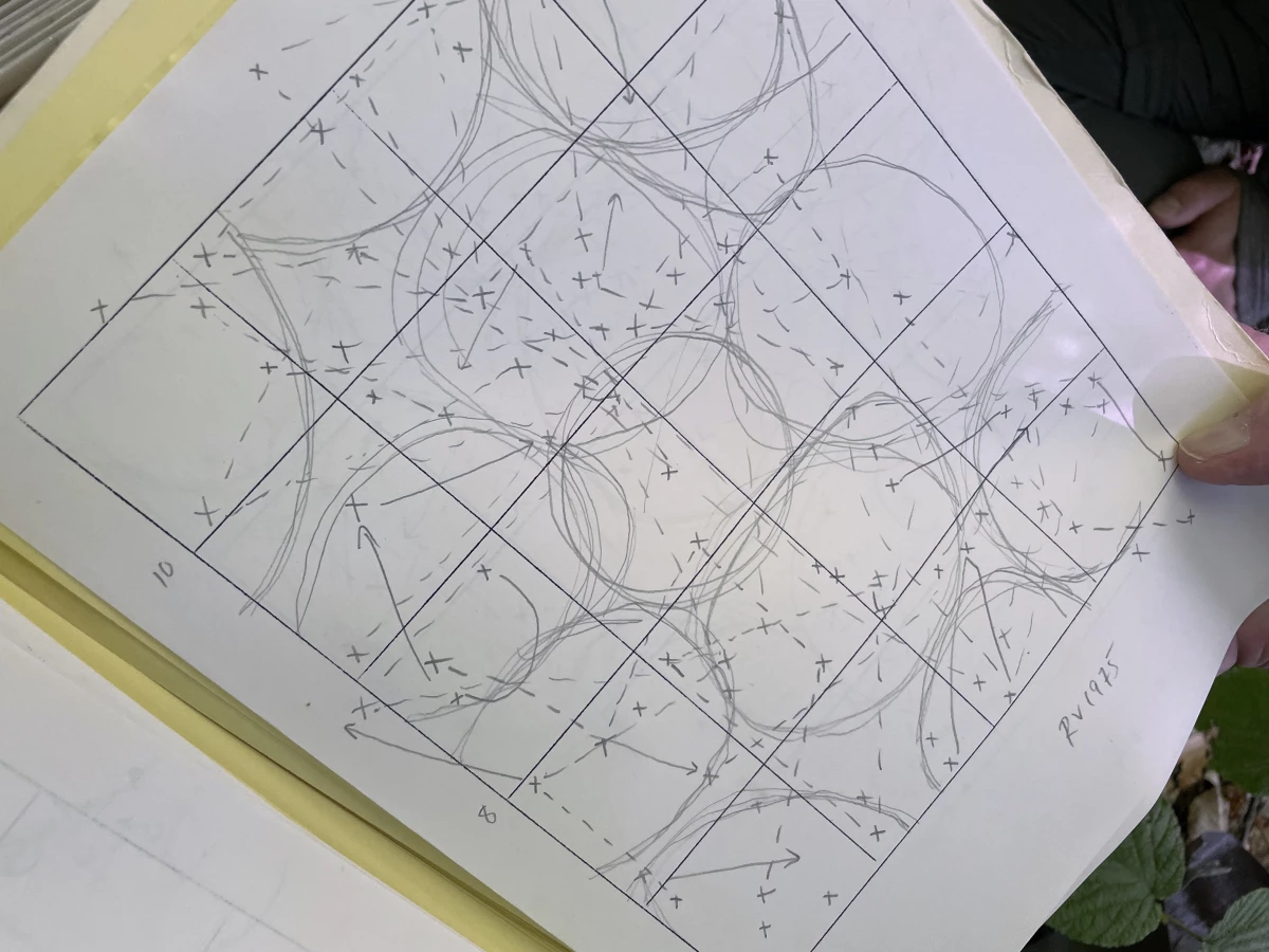 Each of these circles represents a different songbird territory. And each 'X' corresponds to a bird that was seen or heard on the forest plot. Solid lines show flight movements and dotted lines register birds countersinging to one another.