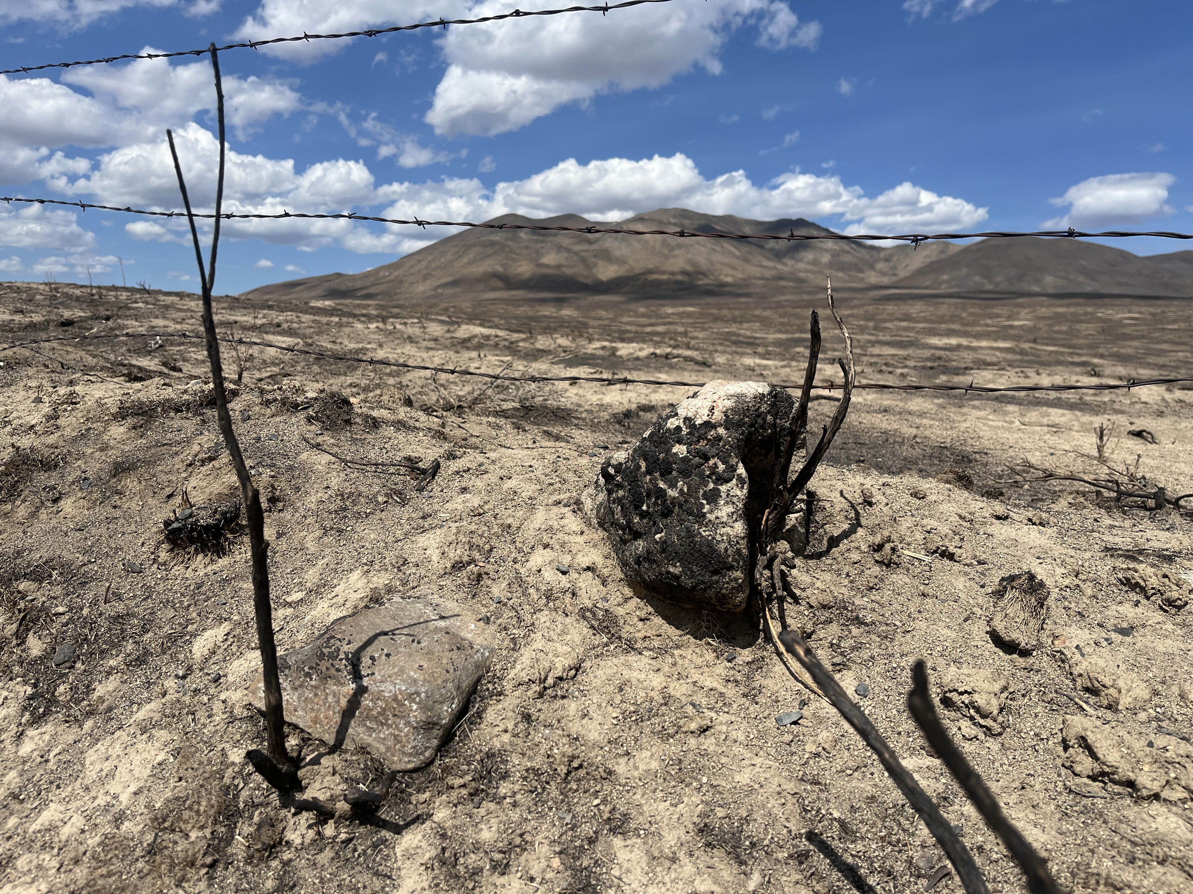 These Oregon ranchers say the losses from summer range fires will be huge