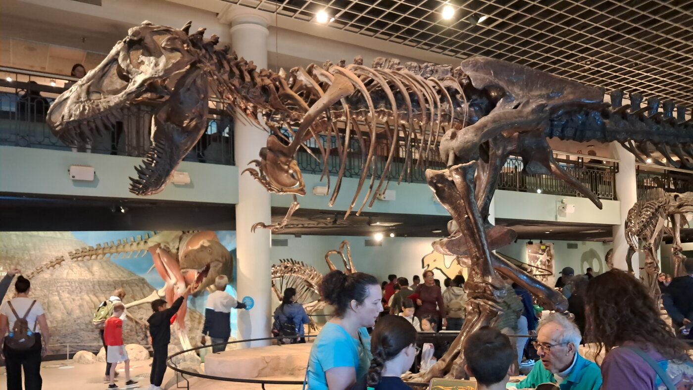 Philadelphia’s Academy of Natural Sciences closes after nearly 200 years : NPR Philadelphia’s Academy of Natural Sciences closes after nearly 200 years : NPR