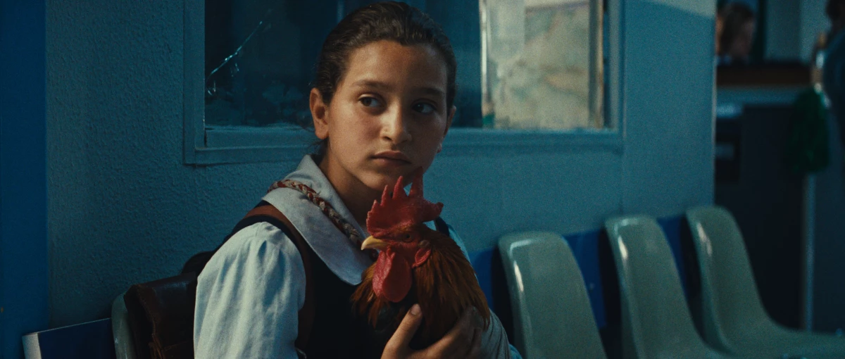 Baneen Ahmed Nayyef had no training before appearing in Hasan Hadi's The President's Cake, in the role of nine-year-old Lamia, who is tasked with baking a birthday cake for Iraqi dictator Saddam Hussein.