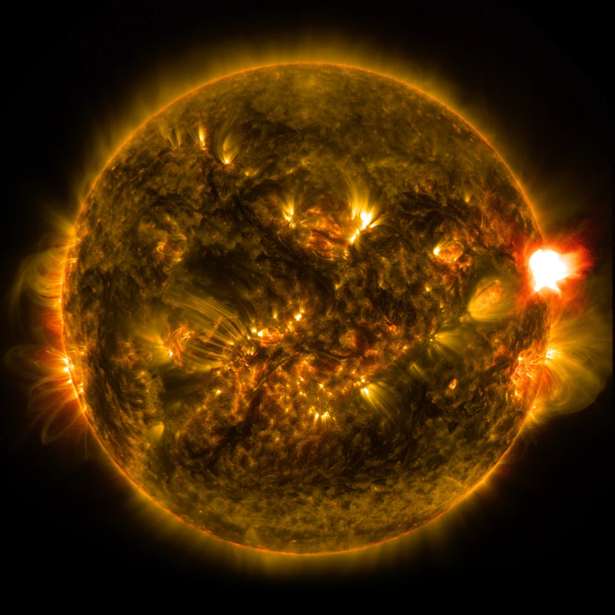 NASA's Solar Dynamics Observatory, which watches the sun constantly, captured an image of a mid-level solar flare on Jan. 12, 2015.
