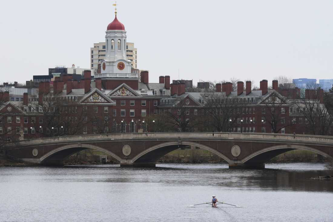 A sculler rows down the Charles River near Harvard University, at rear, on April 15, 2025, in Cambridge, Mass.