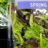 Spinach is displayed for sale on shelves at a Target store on July 23, 2026 in Austin, Texas.