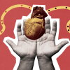 Hands hold a heart donated for transplantation