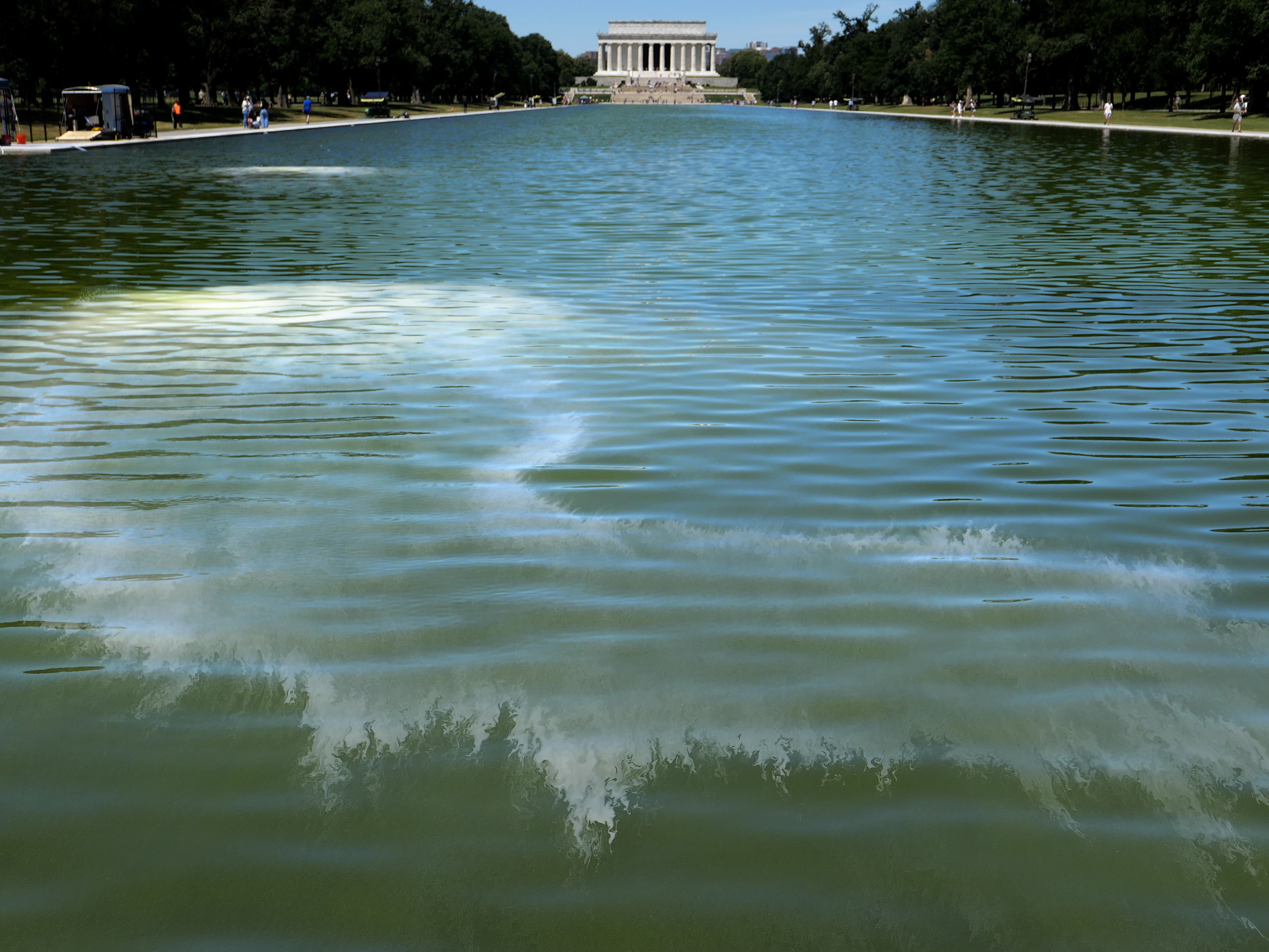 Algae clouded Trump's vision for the Reflecting Pool. But scientists aren't surprised | NCPR News