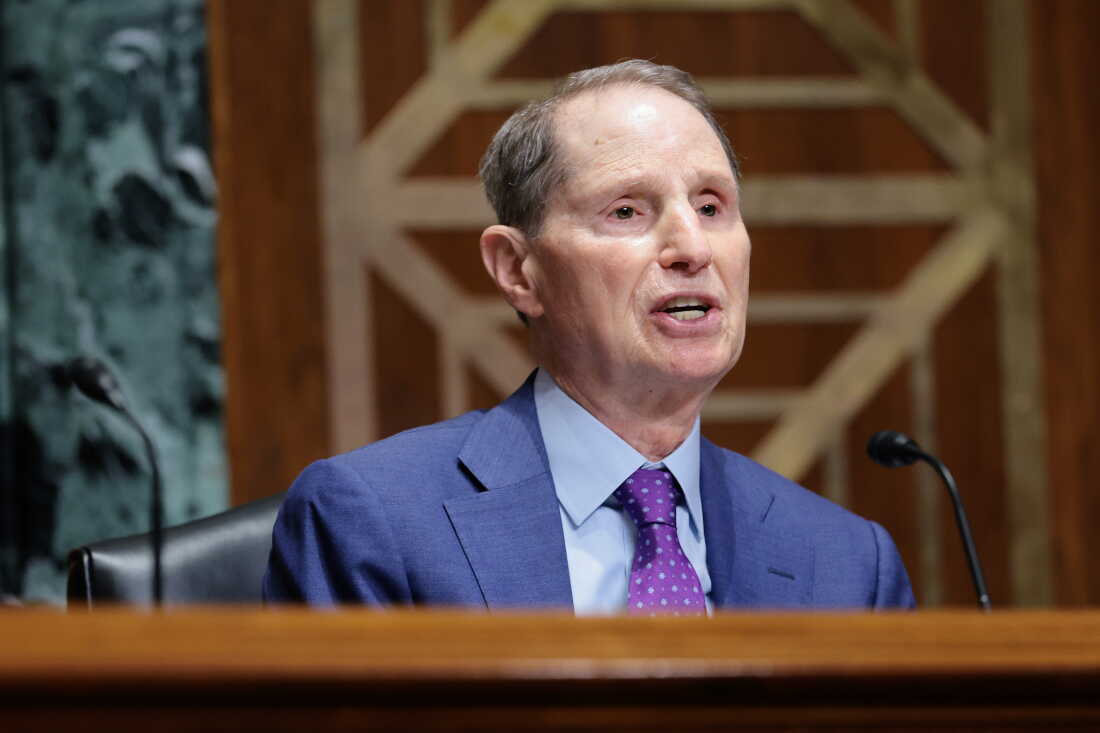 Sen. Ron Wyden (D-Ore.) speaks during a hearing on Capitol Hill in April.