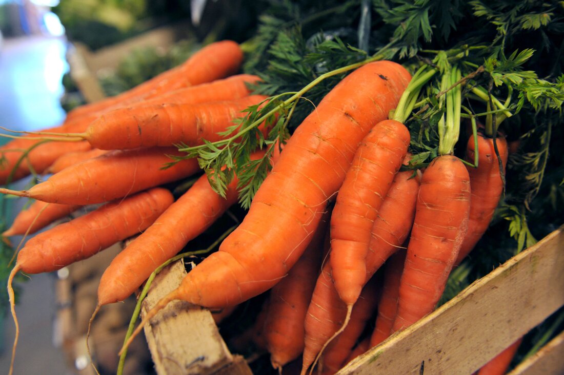 This picture taken on November 12, 2008 in Herouville-st-Clair, Normandy, of small carrots.